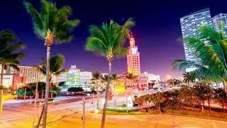 VideoVault Stock Video: Miami Florida palm trees in time-lapse at night