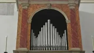 Verdi all'organo Callido - Padova (2001)