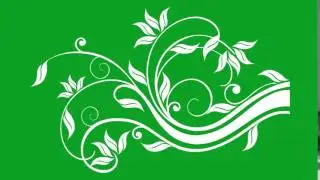 Flourish Flower on Green Screen 25