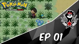 The Adventure Begins Now -  Pokemon Revolution Online Let's Play #01
