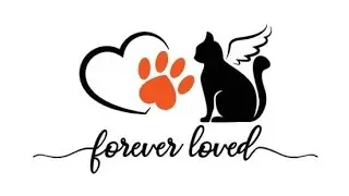 In Memory of my Snow White Cat 