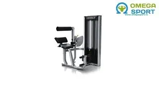 Разгибание спины MATRIX VERSA VS-S52H