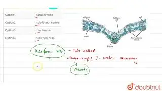 many grass leaves are capable of folding and unfolding due to