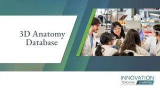 Building a 3D Library for Anatomy Education