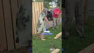 Соседи яростно спорят из-за забора