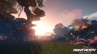 Pantropy - day & night cycle - time lapse