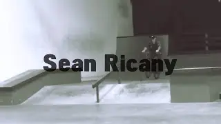 BMX Sean Ricany Cult 2016