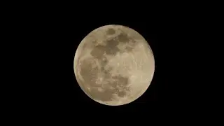 Tonight's Snow Moon | No Snow Effect | 2X Speed