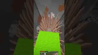 minecraftchase