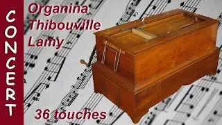 Orgue de barbarie à anches: organina Thibouville-Lamy 36 touches 2 registres à cartons perforés