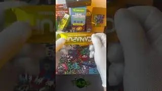 Hhc vape canapugf