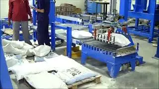 Gantry Palletizer for Bags | Cost Effective Solution to Palletizing System