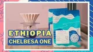 Simple Recipe for Ethiopia Washed with the Origami - November 2024 Subscription Recipe with Dave!