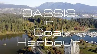 An Oasis in Coal Harbour!  1166 Melville Street, Vancouver, BC, Canada