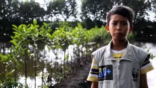 EARTH HOUR INDONESIA 2015 - 7CAUSES: Call To Action