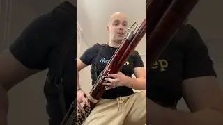 The sorcerer's apprentice Dukas Bassoon solo