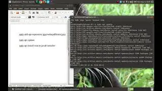 How to Install Java in Ubuntu