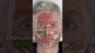 Lower face Botox injection depths 💉