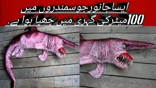 Unbelievable facts Video in hindi - real fact bhai !