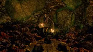The Original Skeleton Shield MEME Location In Skyrim