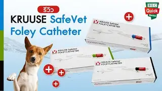#BECQuickReview KRUUSE SafeVet Foley Catheter สายสวนปัสสาวะ