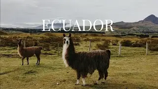 &ldquo;Ecuador: The Country That Shouldn&rsquo;t Exist &mdash; But Does&rdquo;