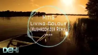 MitiS - Living Colour (Mushroomizer Remix)