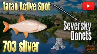 🧭 Seversky Donets Taran Spot | Float Setup & Profit Guide 💰 RF4