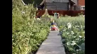 MOV02877