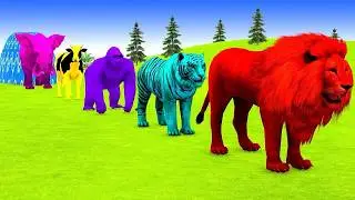 Long Slide Game With Elephant Gorilla Buffalo Hippopotamus Tiger - 3d Animal Game - Funny 3d Animals