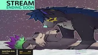 Gay Dog solo queues ranked siege