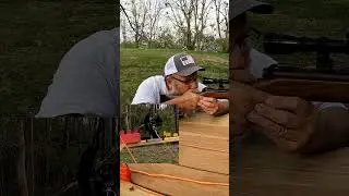 BENJAMIN 342 VS. THE SQUIRREL #airgunshooter #pelletguns #shortvideo #shorts #viralshorts #airrifle
