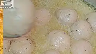 Chicken Tabak Maaz