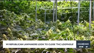 Wisconsin Republicans lawmakers looking to close 'THC loophole'