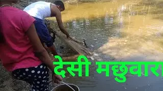 MASLI KAISE PAKDE | TALAB ME MASLI PAKDNE KA TARIKA | #ANUKULVLOGS