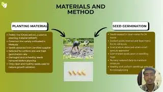 EVALUATING THE IMPACT OF POTASSIUM BIOFERTILIZER VS DIAMMONIUM PHOSPHATE FERTILIZER ON PADDY GROWTH
