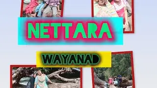 വയനാടിന്റെ വശ്യസുന്ദരമായ നെട്ടറ| seenivlogs|nettara bridge|wayanad|thirunelli|kalindiriver