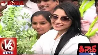 Haritha Haram Program In Greater Hyderabad | Teenmaar News | V6 News