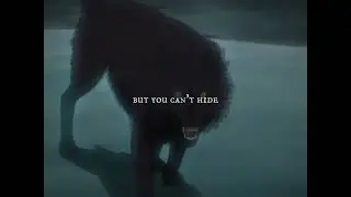 Wolfs rain | The wolf [Amv/Edit]