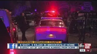 triple homicide in brooksville
