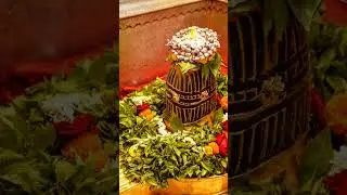 Har Har Har Mahadev Tripuraari 😍 #kashivishwanath #mahakal #kashi #spritul #viralshort #trending
