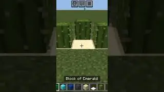 minecraft cactus logic.......🤣