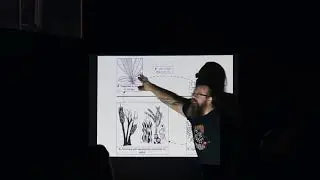Roo Vandegrift Talks about Ecuador and xylaria