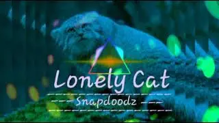 Snapdoodz - Lonely Cat (Music Visualizer)