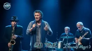 Lili Twil ~ Younes Megri ( Lounge ~ Soûl ~ Classical Song )
