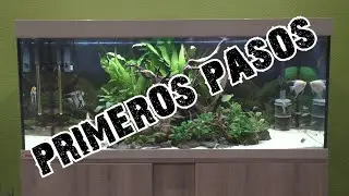 Acuarios del Manza 01 Primeros Pasos 240L