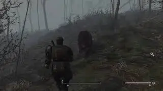 Wild Wasteland - Gentle Ben (Fallout 4 Mods)