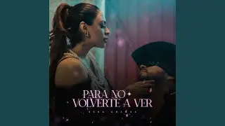 Para no Volverte a Ver