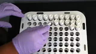 COVID-19's mu variant on the rise in the United States