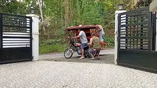 Anihan na ng palay kya kinarga na ang tresher pra  mag operate